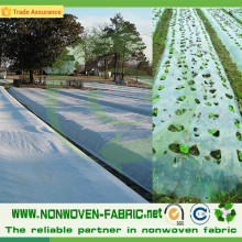 Anti-UV Agriculture Cover PP Nonwoven Fabric in Roll